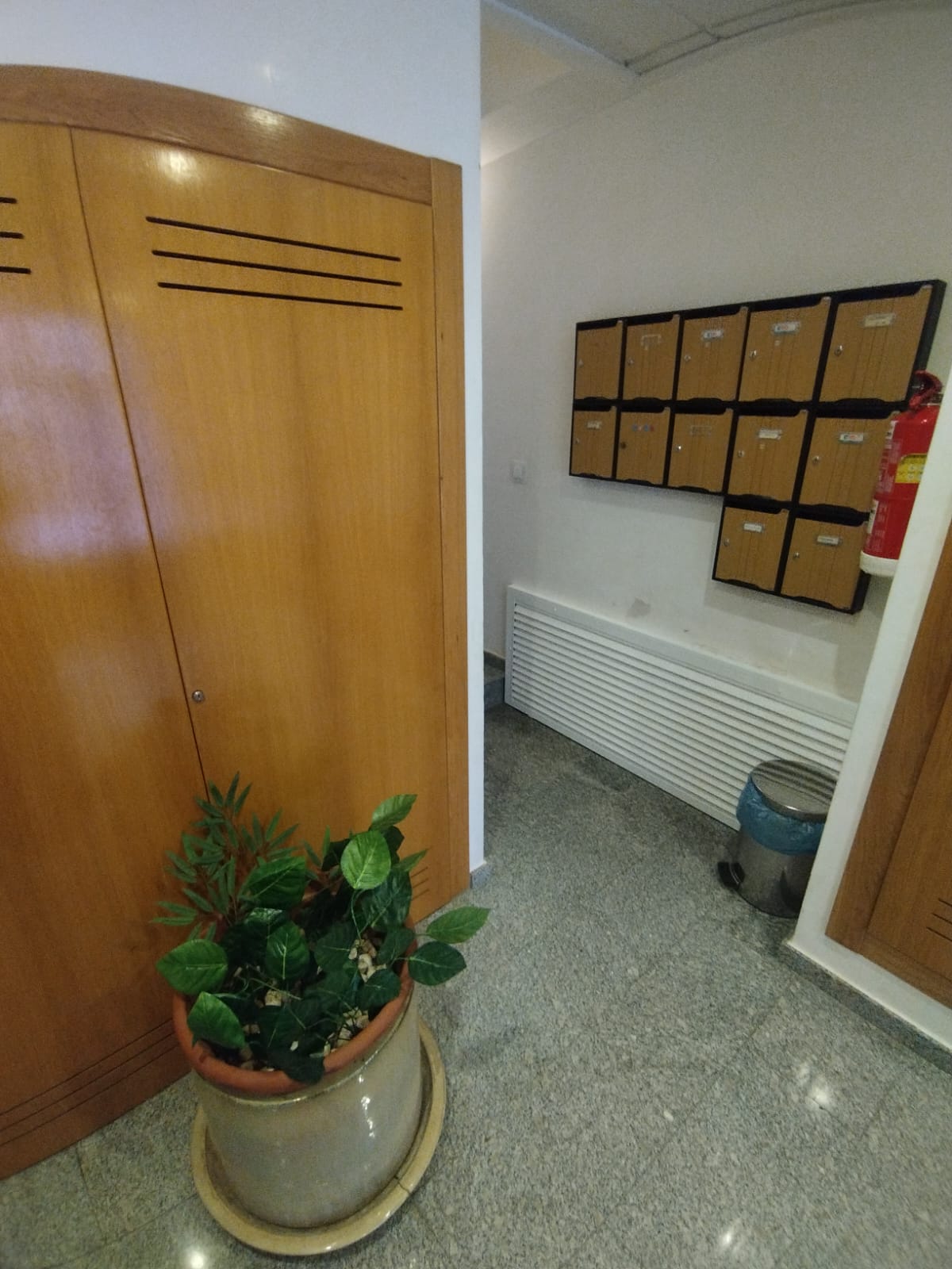 50014_cll palmera, alcantarilla (8).jpeg